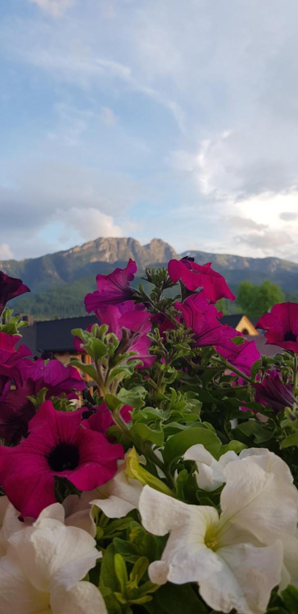 Apartprestige Krupowki Z Widokiem Na Giewont Lub Krupowki Apartment *